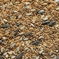 1kg S&W Premium Parrot Mix